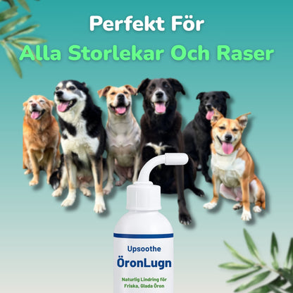 ÖronLugn™ Hund Öronrengöring