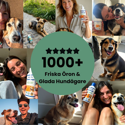 ÖronLugn™ Hund Öronrengöring